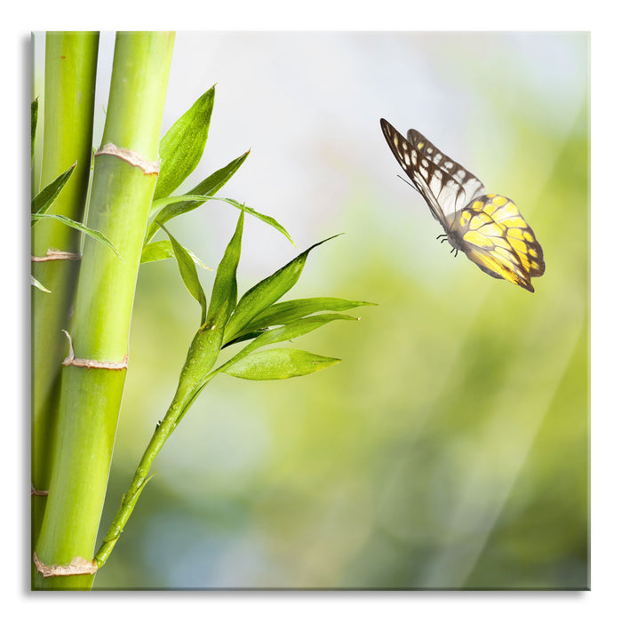 Bambus mit Schmetterling, Glasbild Quadratisch