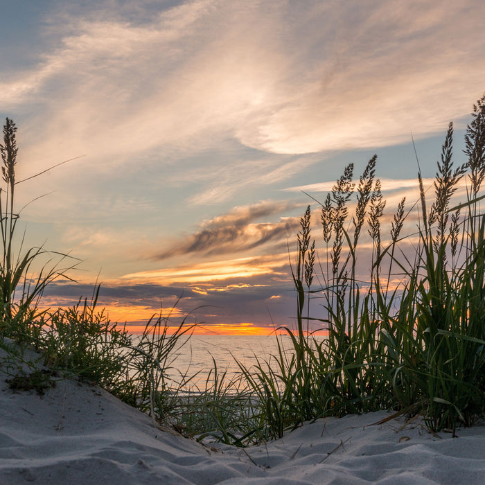 Gras am Strand bei Sonnenuntergang, Glasbild Quadratisch