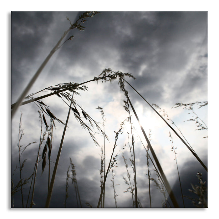 Düsteres Gras vorm Regen, Glasbild Quadratisch