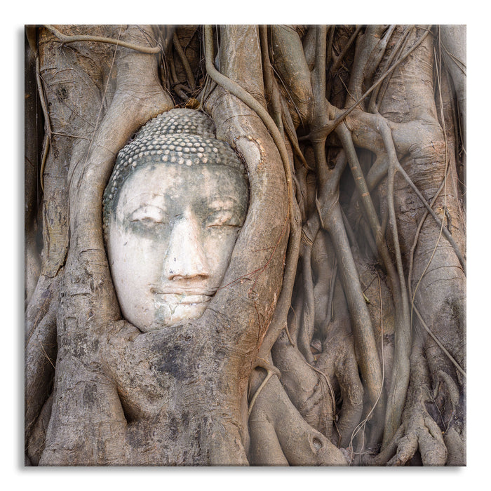 Buddha Kopf im Baum, Glasbild Quadratisch
