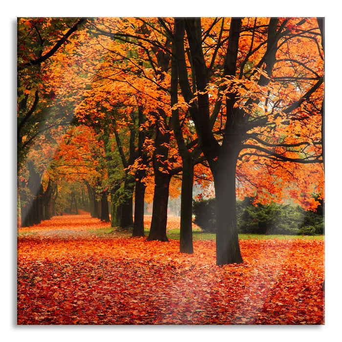 Baumallee im Herbst, Glasbild Quadratisch