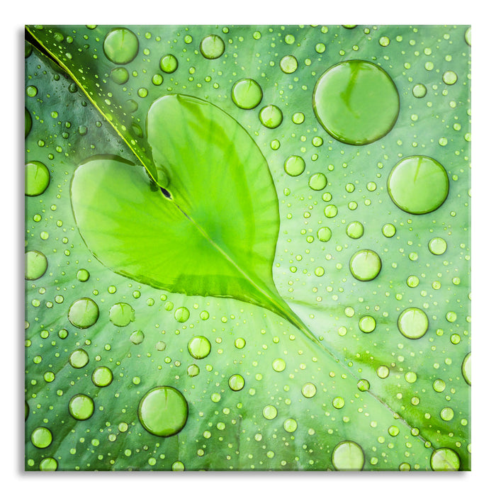 Herz aus Tautropfen Blatt, Glasbild Quadratisch