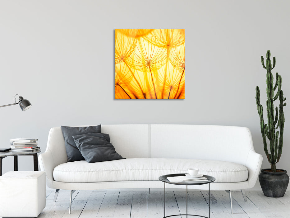 Pusteblumen oranges Licht, Glasbild Quadratisch