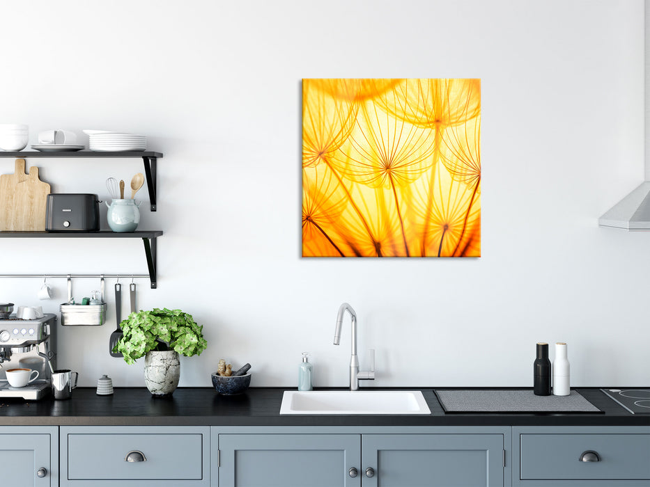 Pusteblumen oranges Licht, Glasbild Quadratisch