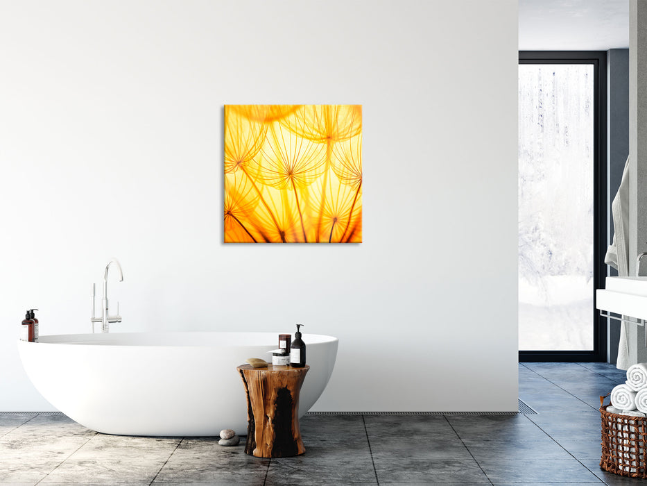 Pusteblumen oranges Licht, Glasbild Quadratisch