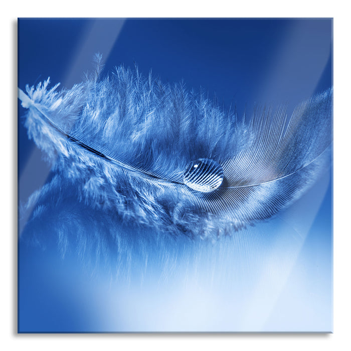 Pixxprint Wassertropfen auf Feder, Glasbild Quadratisch