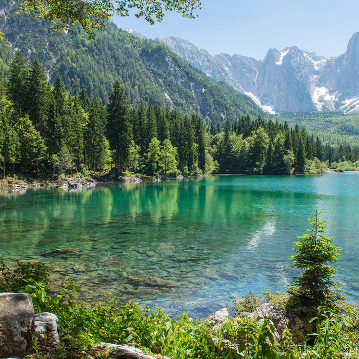 Wunderschöner See im Wald, Glasbild Quadratisch