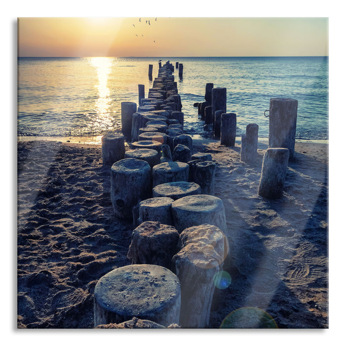 Pixxprint Baumstümpfe am Meer, Glasbild Quadratisch