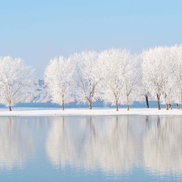 Schneebedeckte Bäume im Winter, Glasbild Quadratisch