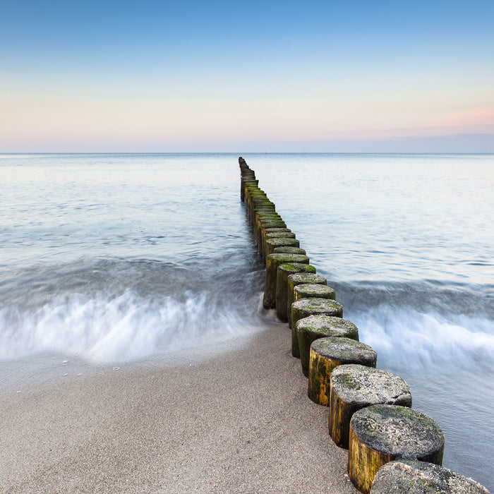 Baumstümpfe die ins Meer führen, Glasbild Quadratisch