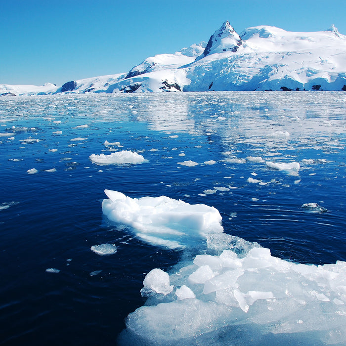 Eisbrocken im Meer, Glasbild Quadratisch