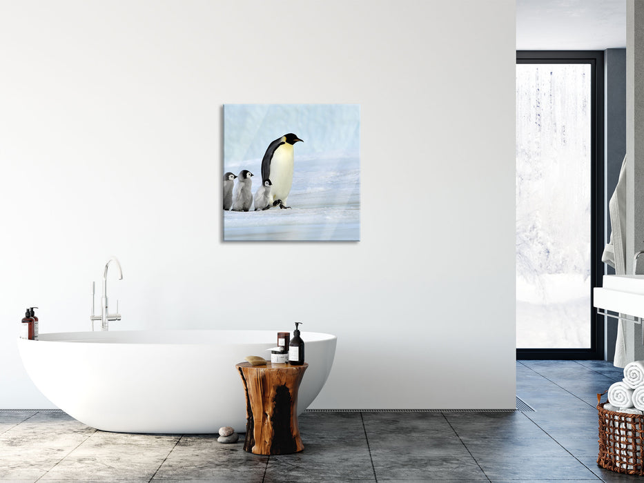 Kaiserpinguine im Schnee, Glasbild Quadratisch