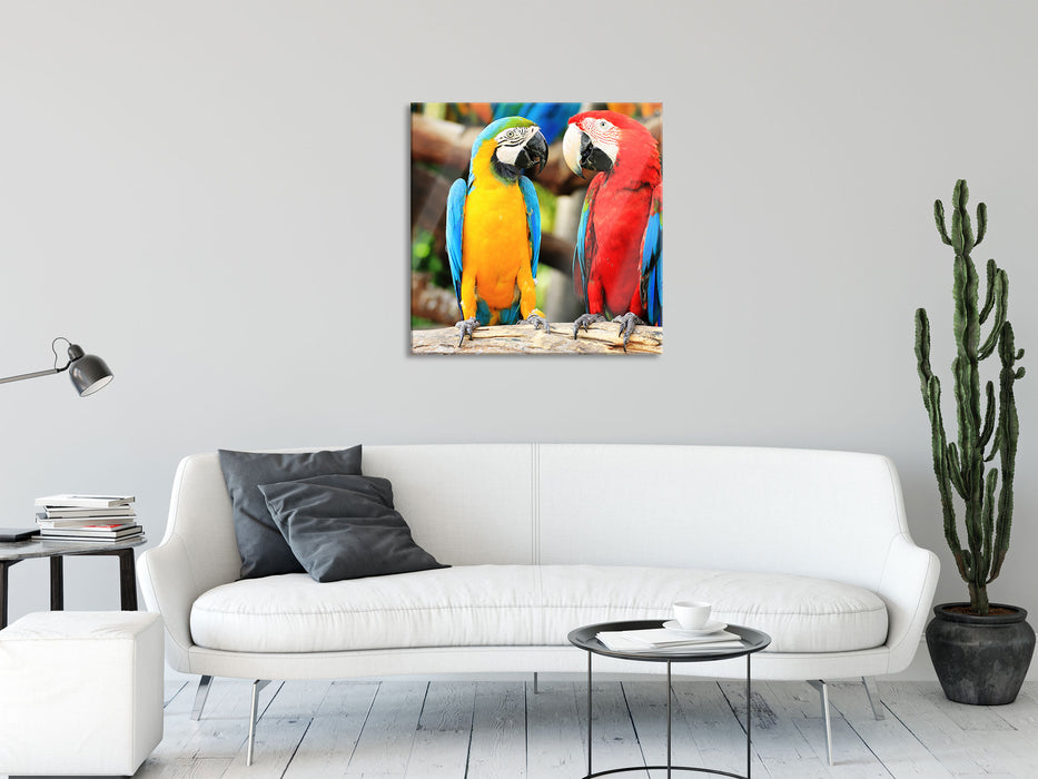 Zwei Papageien auf einem Ast, Glasbild Quadratisch