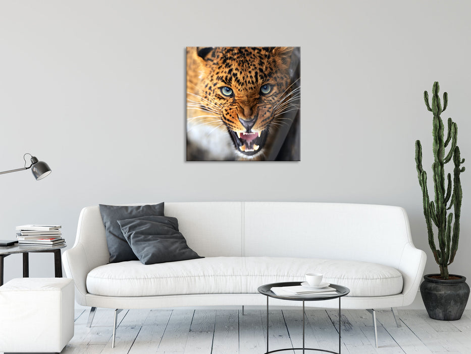 Fauchender Leopard, Glasbild Quadratisch