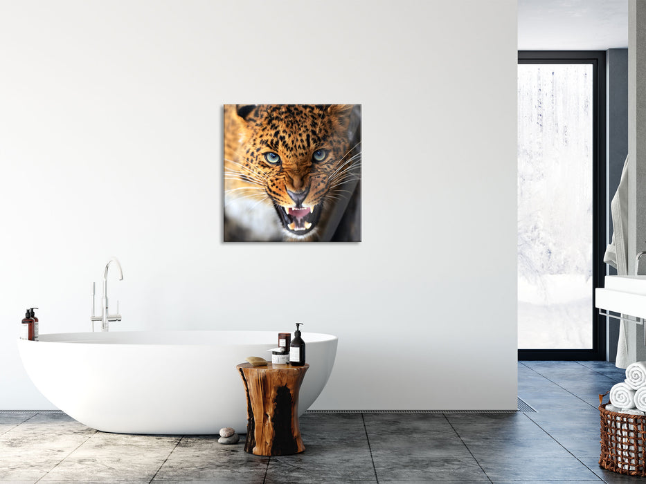 Fauchender Leopard, Glasbild Quadratisch