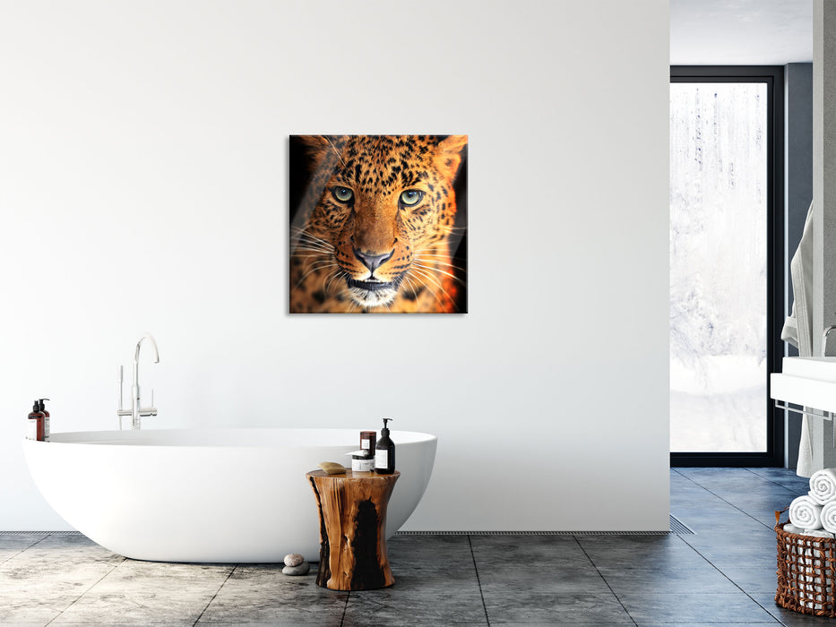 Stolzer Leopard, Glasbild Quadratisch