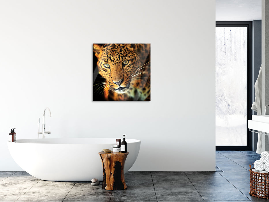 Anmutiger Leopard, Glasbild Quadratisch