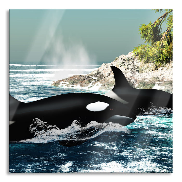 Pixxprint Orcas vor Insel, Glasbild Quadratisch