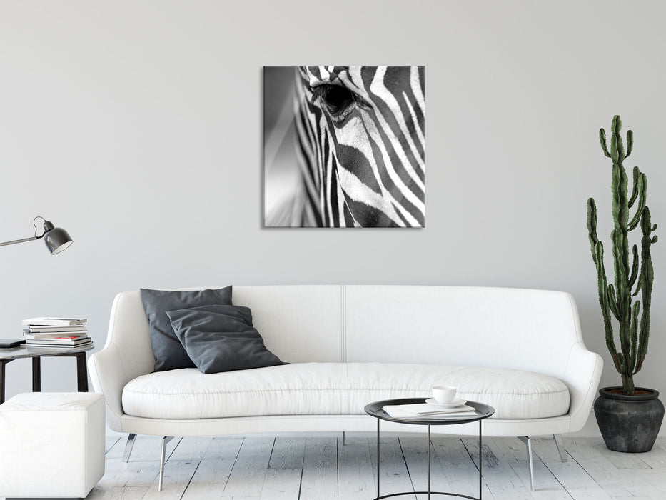 Zebra Nahaufnahme, Glasbild Quadratisch