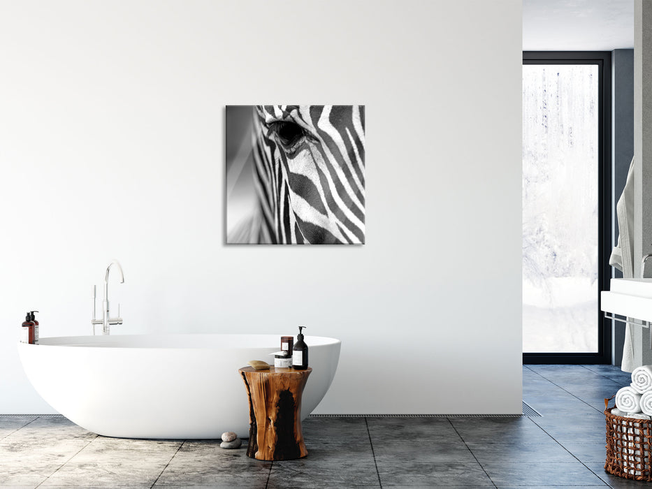 Zebra Nahaufnahme, Glasbild Quadratisch