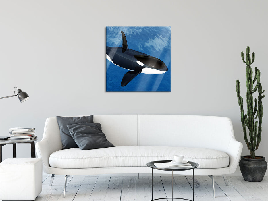 Orca im blauen Meer, Glasbild Quadratisch