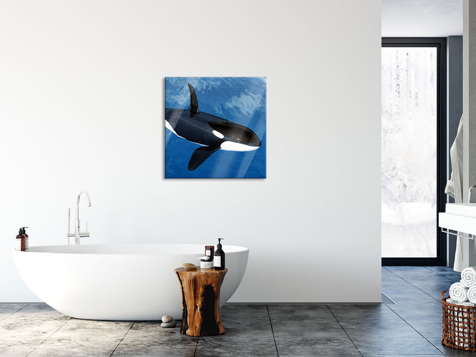 Orca im blauen Meer, Glasbild Quadratisch