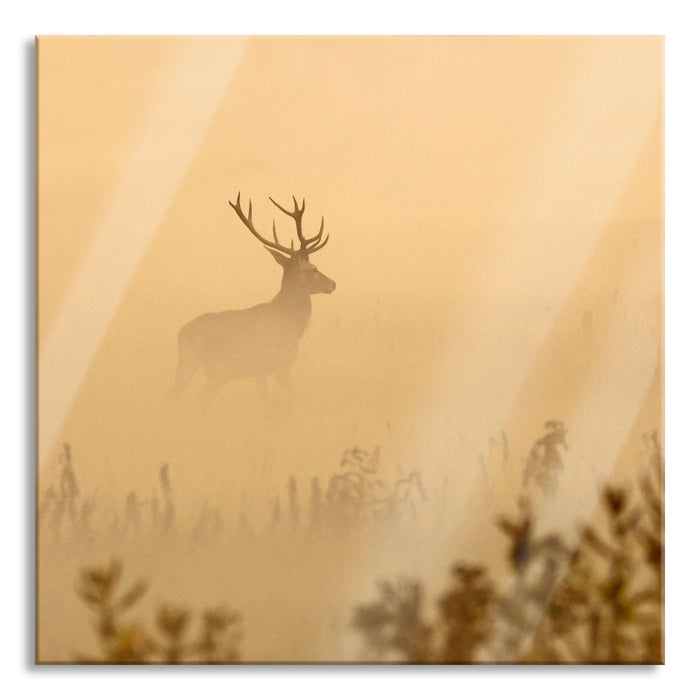 Pixxprint Hirsch im Nebel, Glasbild Quadratisch