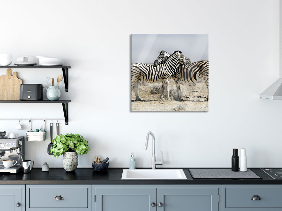 Schmusende Zebras, Glasbild Quadratisch