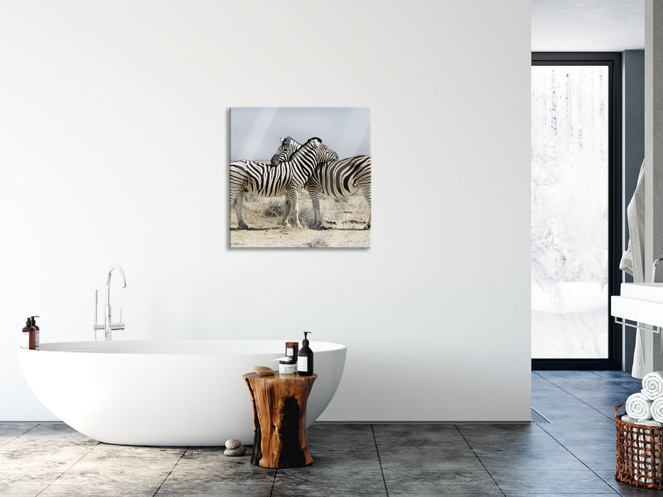 Schmusende Zebras, Glasbild Quadratisch