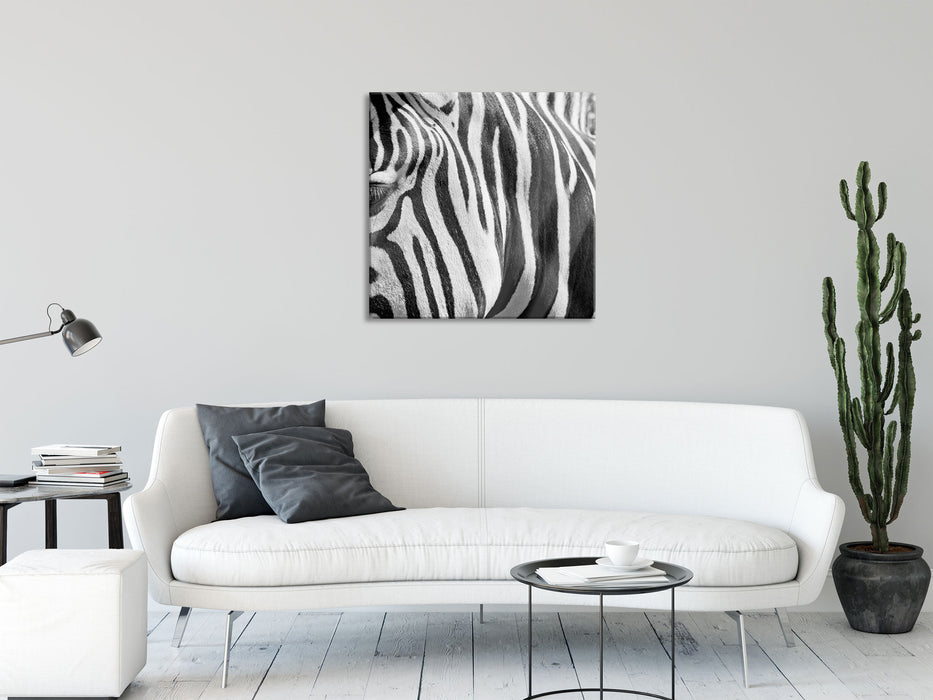 Zebra Porträt, Glasbild Quadratisch