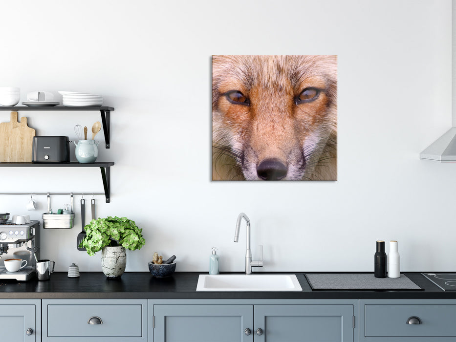 Fuchs Porträt, Glasbild Quadratisch