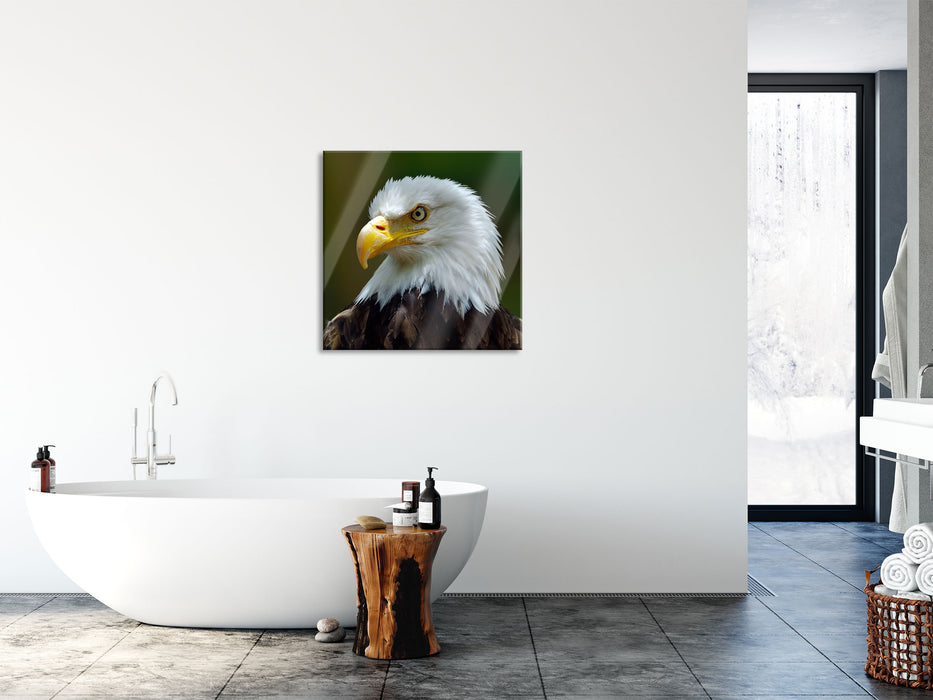 Mächtiger Weißkopfseeadler, Glasbild Quadratisch