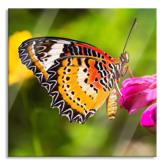 Pixxprint Schmetterling auf Blüte, Glasbild Quadratisch