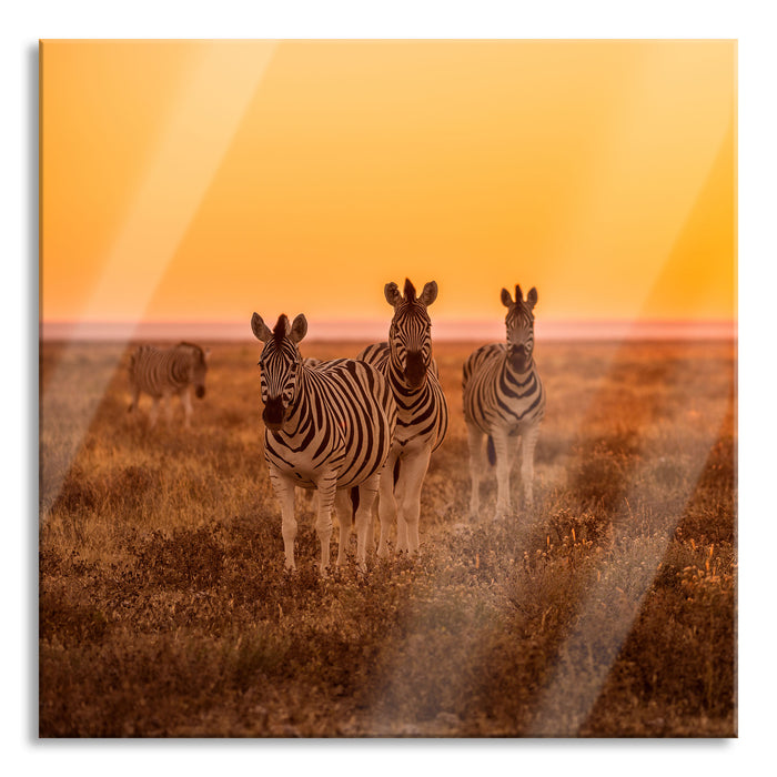 Pixxprint Zebra in der Savanne, Glasbild Quadratisch