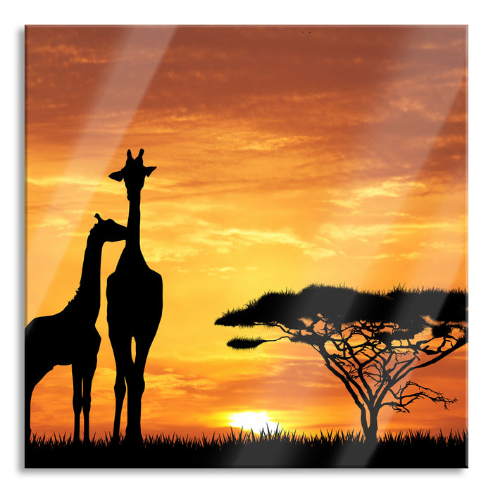 Pixxprint Giraffen im Sonnenuntergang, Glasbild Quadratisch