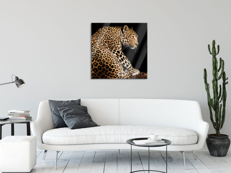 Anmutiger Leopard, Glasbild Quadratisch