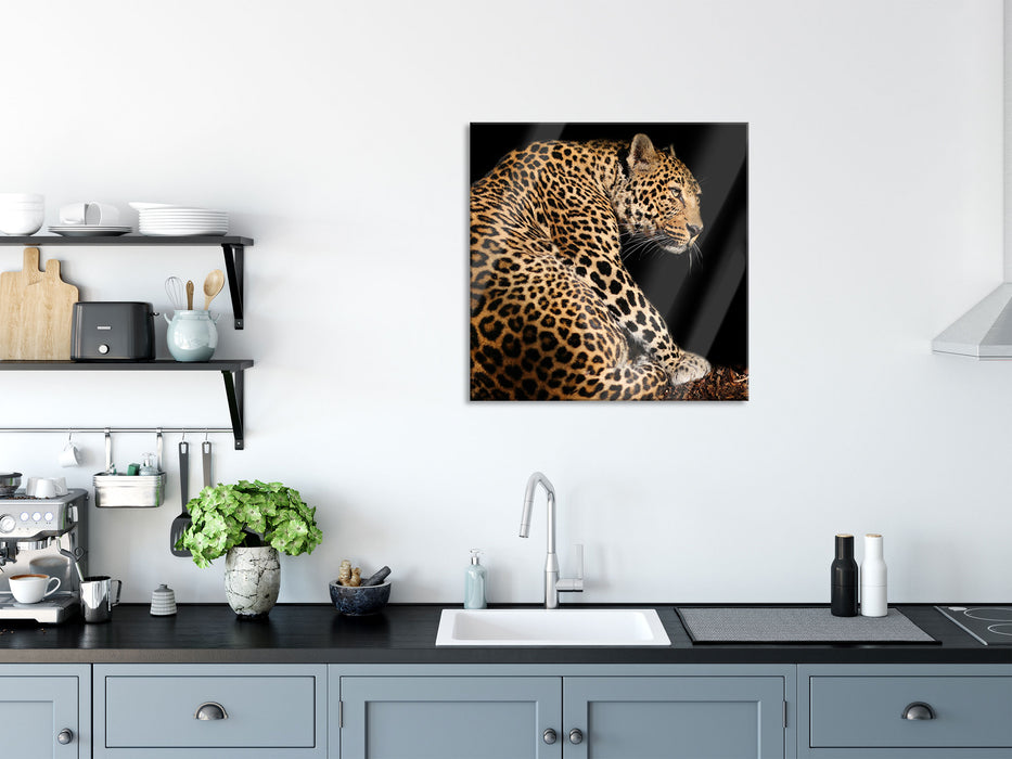 Anmutiger Leopard, Glasbild Quadratisch