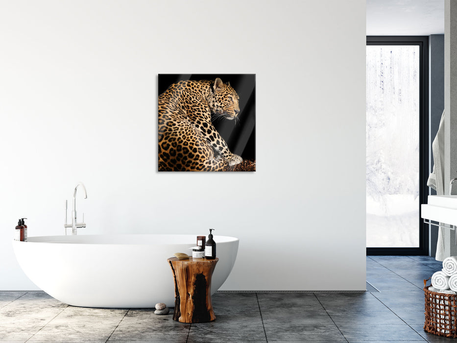 Anmutiger Leopard, Glasbild Quadratisch