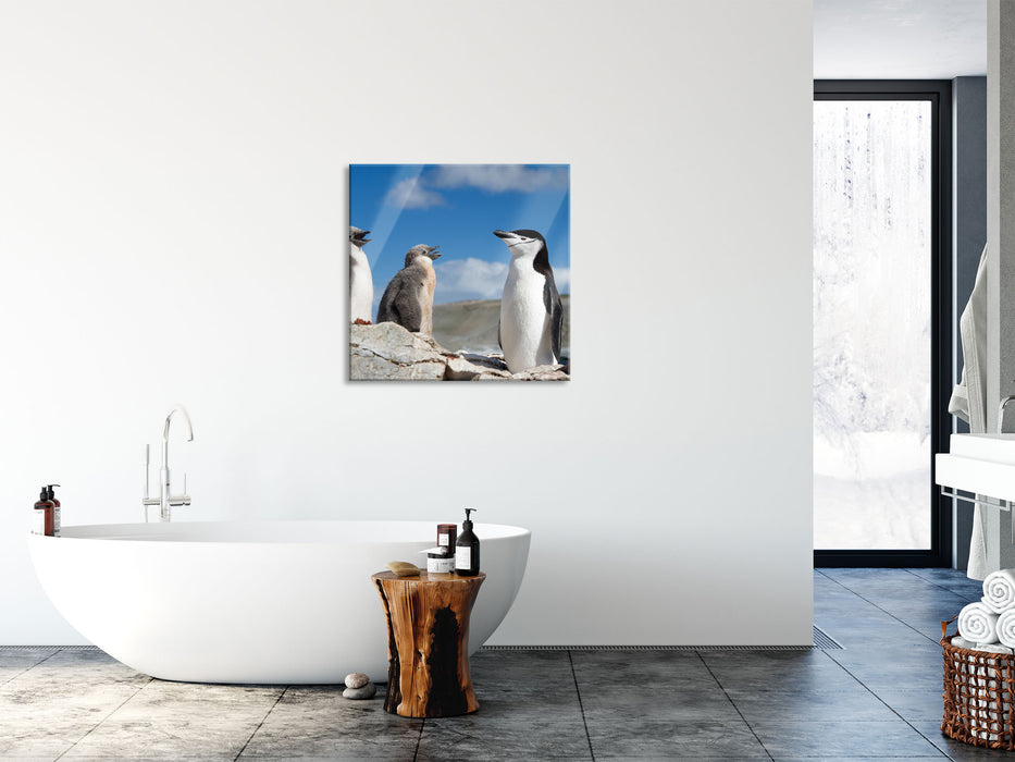 Pinguin mit süßen Küken, Glasbild Quadratisch