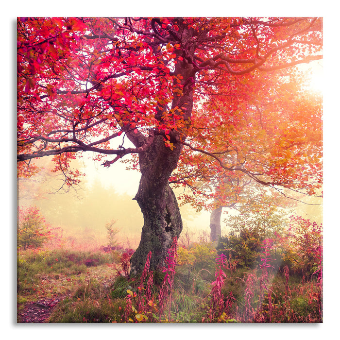 Pixxprint Traumhafte Herbstlandschaft, Glasbild Quadratisch