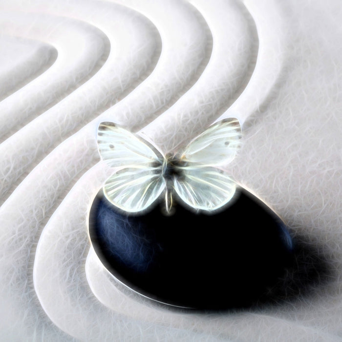 Schmetterling auf Zen Stein, Glasbild Quadratisch