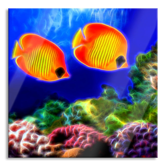 Fische Korallenriff, Glasbild Quadratisch