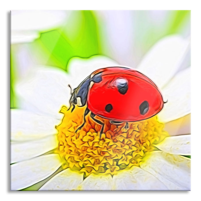 Marienkäfer auf Gänseblümchen, Glasbild Quadratisch