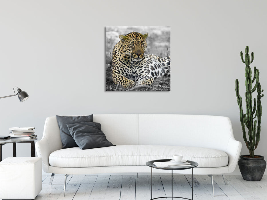 schöner Leopard liegt im Laub, Glasbild Quadratisch