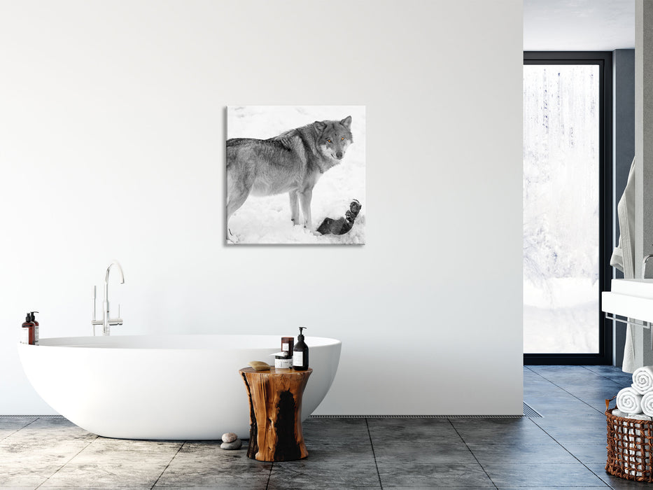 prächtiger Wolf im Schnee, Glasbild Quadratisch