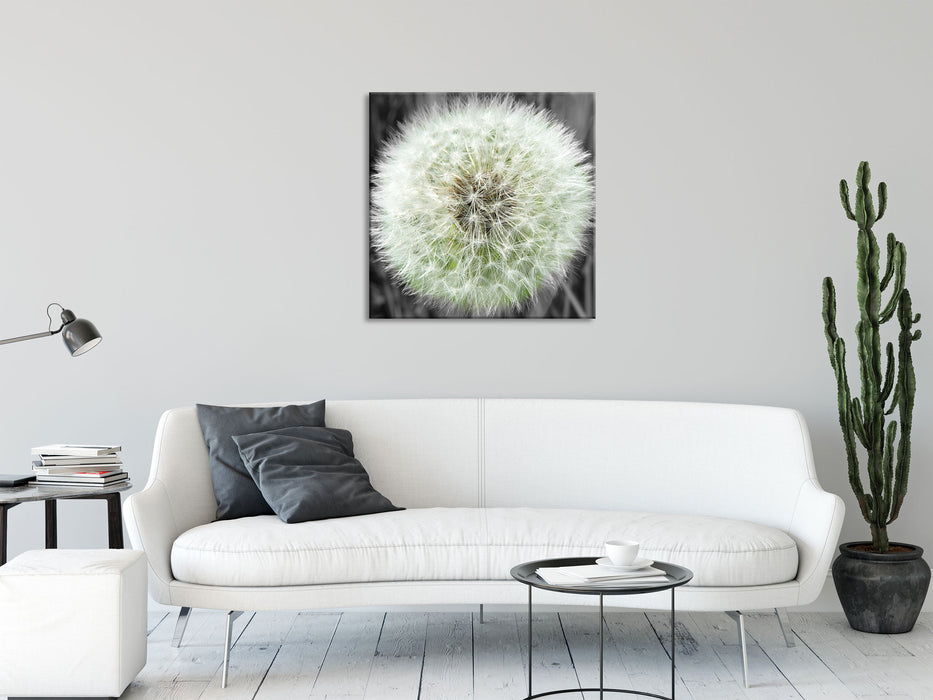 klassische zarte Pusteblume, Glasbild Quadratisch