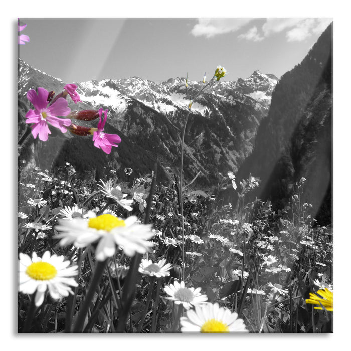 Alpenblumen, Glasbild Quadratisch