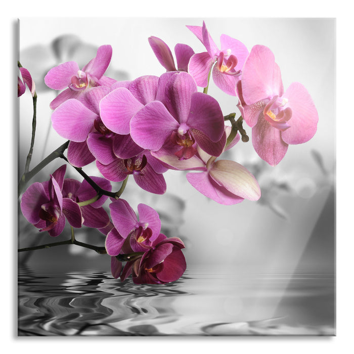 Pixxprint Orchideenblüten über Wasser, Glasbild Quadratisch