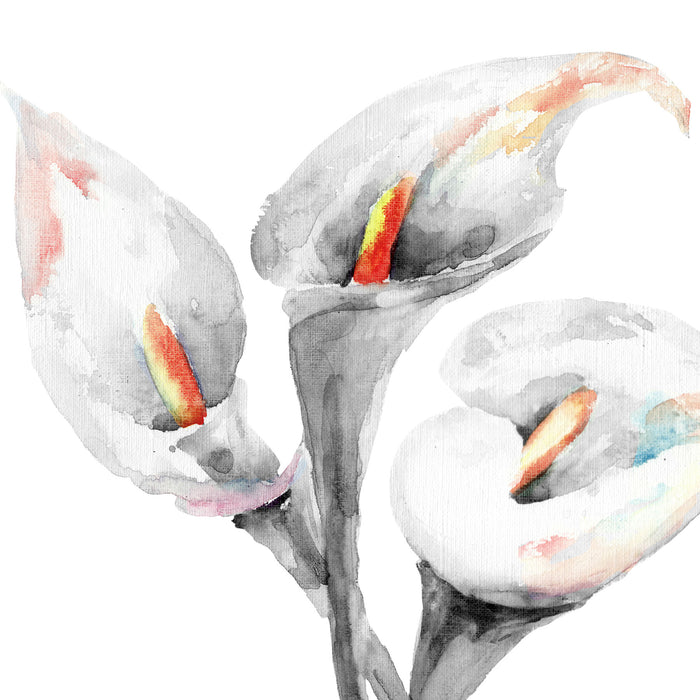 Callas Aquarellblüten, Glasbild Quadratisch