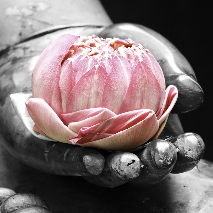 Lotus in einer Hand eines Buddhas, Glasbild Quadratisch